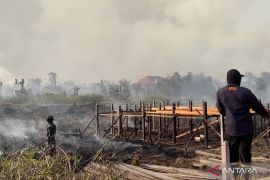 Menkum memastikan pemerintah tangani karhutla secara maksimal