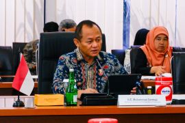 Indonesia eyes Russian partnership to boost IT, shipbuilding industry