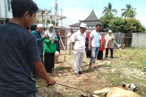Ikut menyembelih hewan kurban di Padang, wisatawan Singapura senang