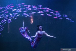 5 destinasi akuarium di Jakarta untuk liburan sekolah dan akhir tahun