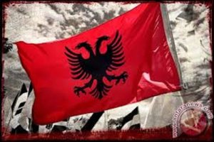 Anatomi Revolusi Flamingo di Albania