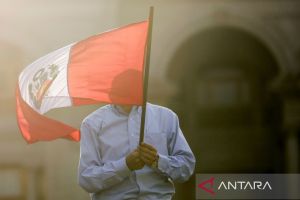 Satu tewas, 102 terluka dalam aksi antipemerintah di Peru