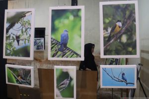 Pameran fotografi Avifauna