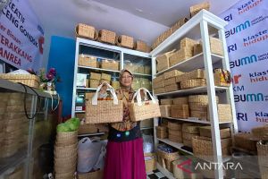 Eceng gondok buka tabir perempuan berkarya