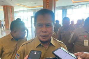 Pemprov: Papua Street Carnival seperti ajang pariwisata tingkat dunia