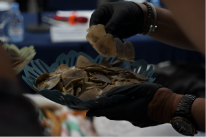 KLHK tangkap pelaku ketiga kasus 360 kilogram sisik trenggiling