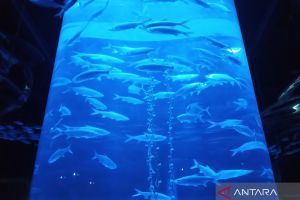 Cek fakta, sebuah akuarium raksasa pecah di mal Bandung