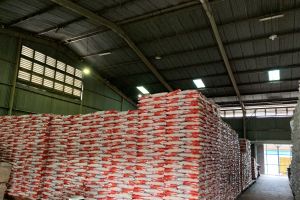 Bulog menyalurkan 5.654 ton beras bantuan pangan tahap kedua di Sumsel