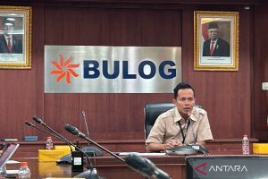 Bulog: Stok beras kebutuhan Natal dan tahun baru sangat aman