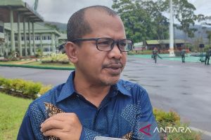 Bawaslu: Pengiriman logistik 4 kabupaten di Papua terhambat cuaca