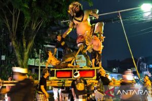 Pemkot Denpasar siapkan perda pelestarian ogoh-ogoh