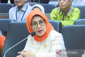DPD minta klausul tegas soal pemanfaatan aset dalam RUU DKJ