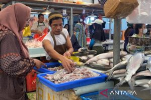 Harga ikan di Balikpapan melonjak pasca Lebaran