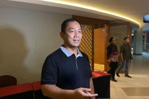 Analis: PDI Perjuangan harus angkat tokoh muda hadapi Pilkada Jateng