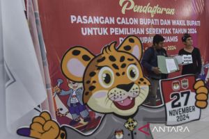 Mengurangi calon tunggal melalui penguatan kaderisasi di parpol