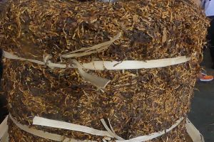 Imbauan DPRD Temanggung agar hasil panen tembakau diserap pabrik rokok