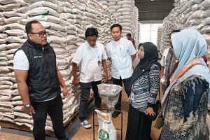 Bulog Semarang salurkan bantuan pangan sebanyak 5.556 ton beras