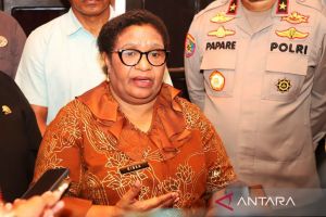 Wamendagri: Pelaksanaan tahap Pilkada 2024 Papua Tengah sesuai jadwal