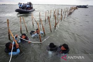 Mahfud duga ada korupsi dan kolusi dalam kasus pagar laut di Tangerang