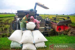 Pertanian maju kunci kemakmuran petani