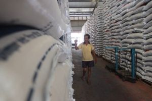 Hingga Februari 2025, 470 ton GKP di Sumbar diserap Bulog