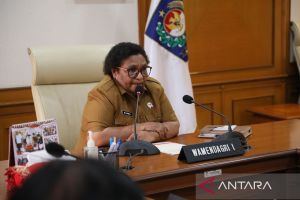 Wamendagri: Pemda harus optimalkan anggaran PSU pilkada dari APBD