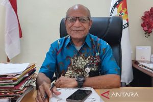 KPU: Anggaran PSU Pilgub Papua sekitar Rp110 miliar