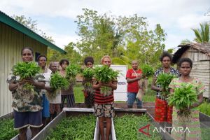 WVI gandeng Korea tingkatkan ketahanan pangan masyarakat adat di Asmat