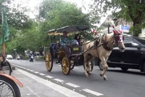 Jadi sumber bau, Pemkot Yogyakarta tertibkan kuda andong Malioboro