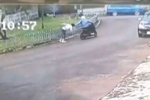 Polisi sebut motor penjambret ibu Didiet Maulana tak berpelat nomor