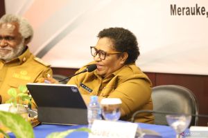 Wamendagri pastikan anggaran PSU Boven Digoel siap disalurkan