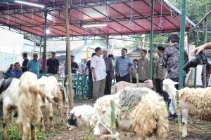 Rano imbau warga Jakarta berkurban secara bijak&nbsp;