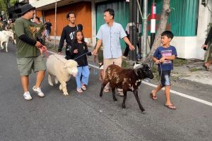 Tradisi Idul Adha, warga Malang arak hewan kurban sebelum disembelih