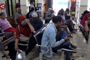 Penyakit kencing tikus di Yogya: 19 kasus, 6 meninggal dunia