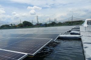 Kemenkop kaji peran Kopdes Merah Putih bangun PLTS 100 GW