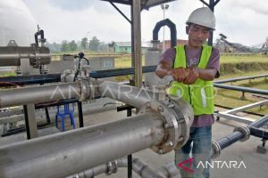Kaltim garap transisi energi dari limbah sawit