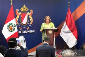Pemerintah sementara Peru tetapkan status darurat di ibu kota Lima