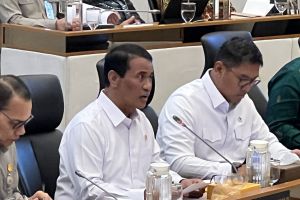 Mentan bidik seluruh stok beras di akhir tahun produksi dalam negeri