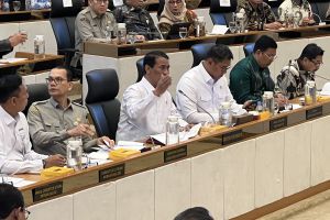 Mentan tegaskan beras satu harga untuk lindungi subsidi
