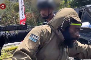 Satgas Damai Cartenz bekuk KKB pelaku penembakan polisi di Puncak Jaya