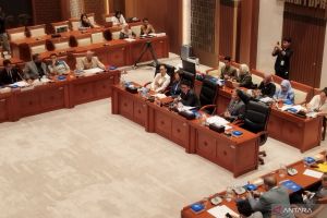 Pansus DPR setujui RUU Pengelolaan Ruang Udara dibawa ke paripurna