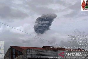 Gunung Marapi kembali erupsi dengan amplitudo maksimum 30,4 milimeter