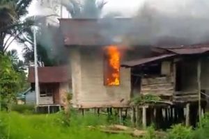 Kaops: KKB bakar rumah dan tembak warga di Asmat