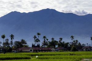 Badan Geologi: Gunung Marapi masih berstatus Waspada