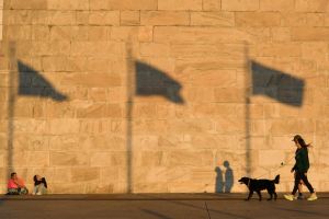 Depkeu AS Peringatkan Dampak Ekonomi Shutdown Pemerintahan AS