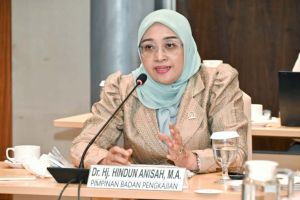 Badan Pengkajian MPR RI: Otonomi daerah belum capai tujuan ideal