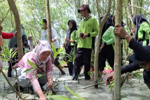 Komisi VII DPR: Mangrove potensial dikembangkan jadi ekowisata