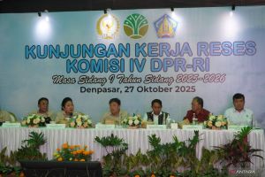 Komisi IV usulkan pemasangan mikrocip pada burung Perkici Dada Merah