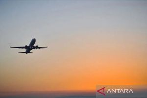 Penutupan Pemerintah AS sebabkan 3.658 penerbangan terganggu