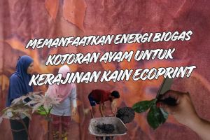 Memanfaatkan energi biogas kotoran ayam untuk kerajinan kain ecoprint